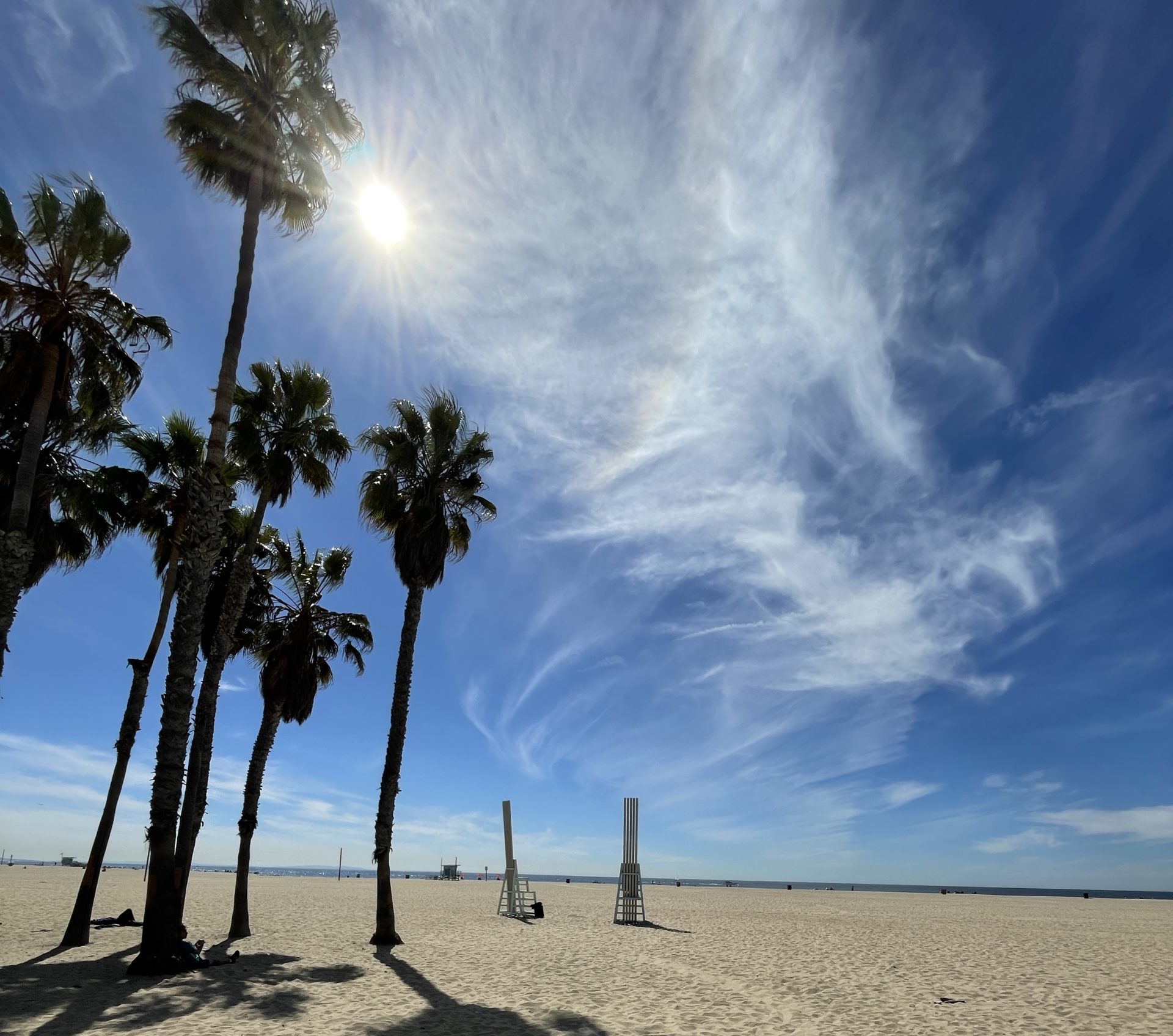 Venice beach